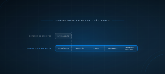 Explica o que é uma plataforma digital e o que a diferencia de um site ou aplicativo comum, com os quatro tipos mais comuns: marketplace, streaming, SaaS e agendamento. Traz os cinco passos de criação, da validação ao lançamento, critérios para escolher parceiro e os fatores que pesam no custo.